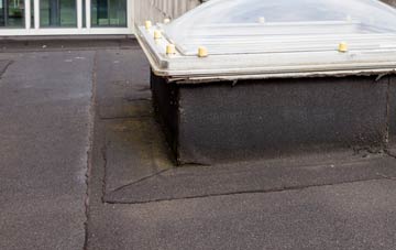 disadvantages of East Village flat roofs